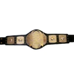 TNA World Heavyweight Wrestling Championship Belt