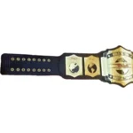 TNA World Tag Team Wrestling Champion Belt