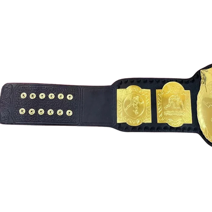 World Tag Team Wrestling Championship Title Belt