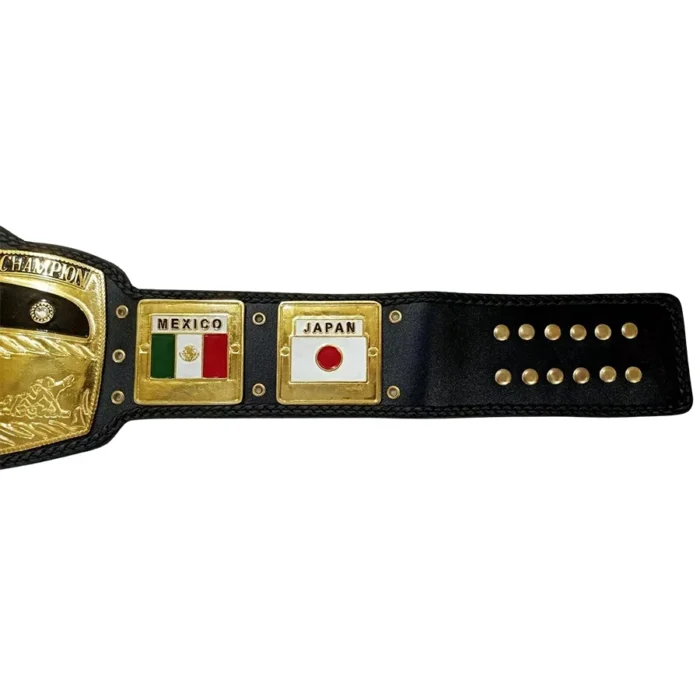 NWA Domed Globe World Heavyweight Championship Belt