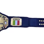 NWA Ireland Heavyweight Wrestling Championship Belt