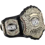 ROH Ring Of Honor World Wrestling Championship Belt