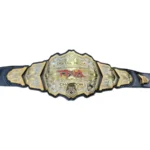 NEW TNA Digital Media Wrestling Championship Belt