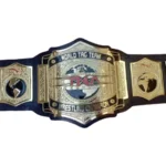 TNA World Tag Team Wrestling Champion Belt