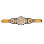 San Diego Pardes Wrestling Championship Belt