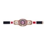 Washington National MLB Wrestling Championship Belt
