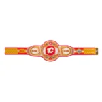 Calgary Frames Wrestling Championship Belt