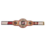 Carolina Hurricanes Wrestling Championship Belt