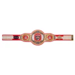 Florida Panthers Wrestling Championship Belt