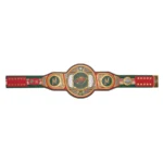 Minnesota Wild Wrestling Championship Belt
