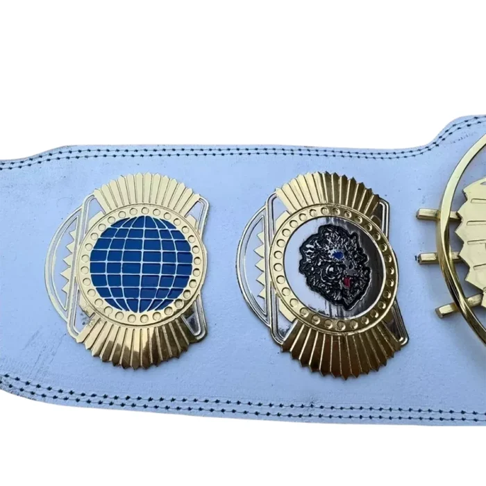 Cody Rhodes American Nightmare World Wrestling Championship Belt