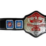 NWA Television Heavyweight 24K Nickel Wrestling Belt