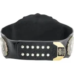 ROH Ring Of Honor World Wrestling Championship Belt