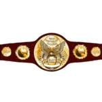 ROH Custom World Wrestling Championship Belt
