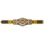 Michigan Wolverines Legacy Wrestling Belt