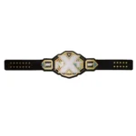 NXT 2.0 World Heavyweight Wrestling Championship Belt