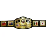 NWA Domed Globe World Heavyweight Championship Belt