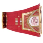 San Francisco 49ers Wrestling Championship Belt