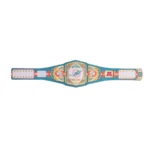 Miami Dolphins Wrestling Championship Belt